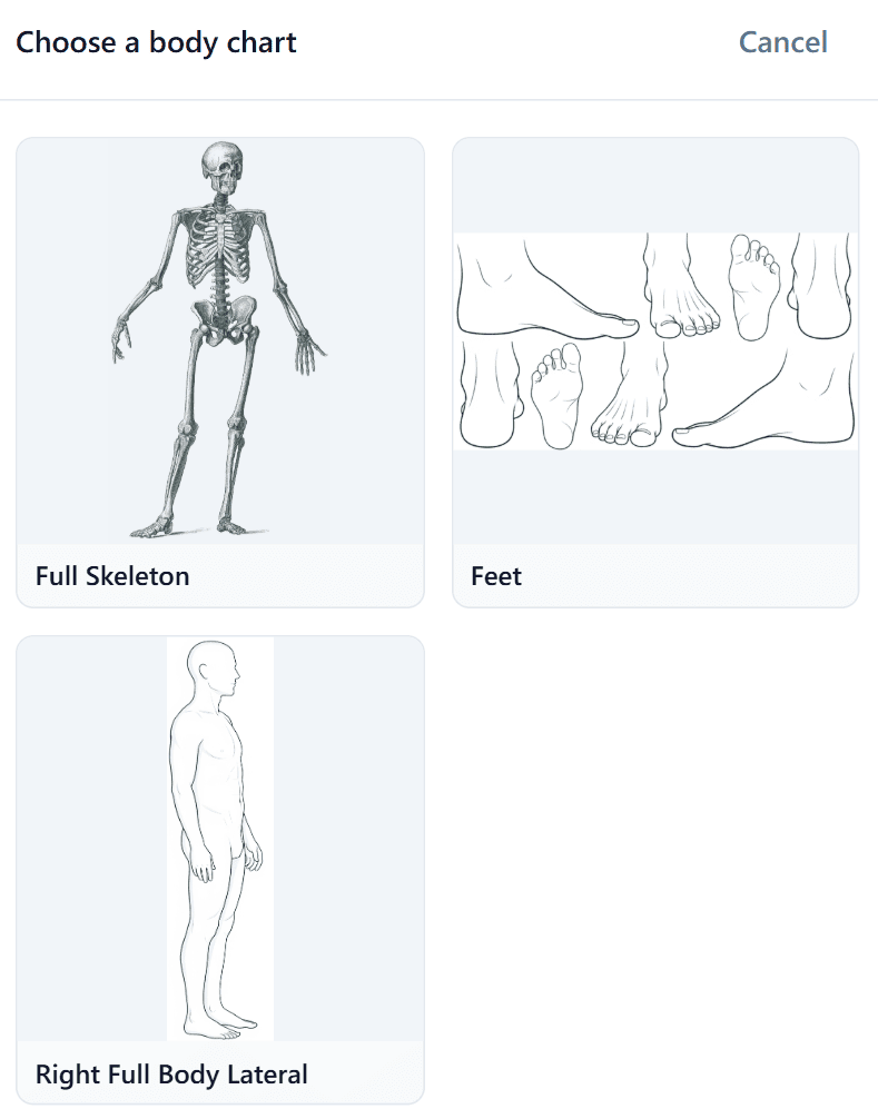 Choose a body chart screen with Full Skeleton, Feet, and Right Full Body Lateral options