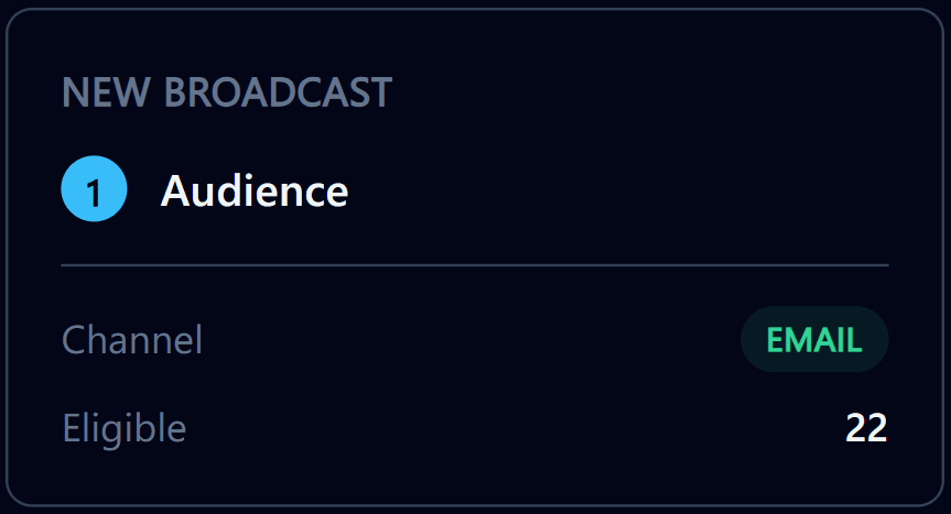 New broadcast summary showing email channel and 22 eligible patients